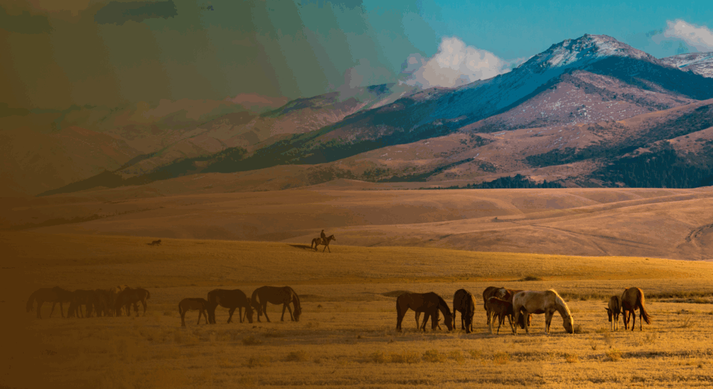 Specialized Tours