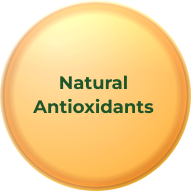 Rice Bran Oil